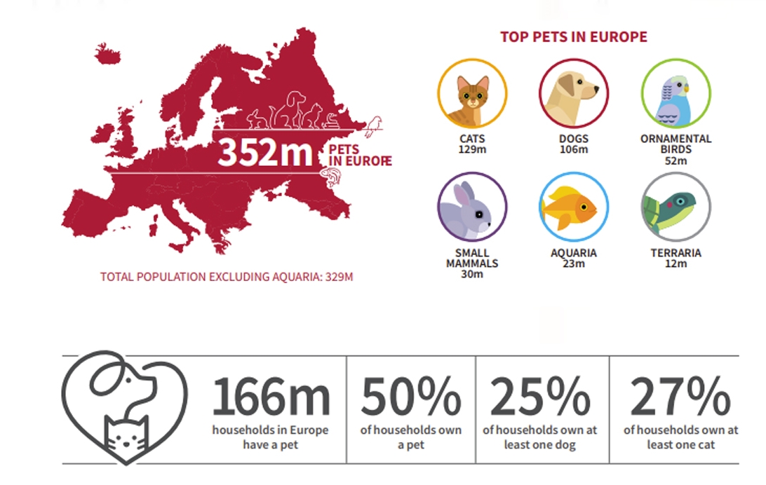 歐洲養(yǎng)狗突破1億只，哪個(gè)國(guó)家最多？歐洲寵物市場(chǎng)情報(bào)！
